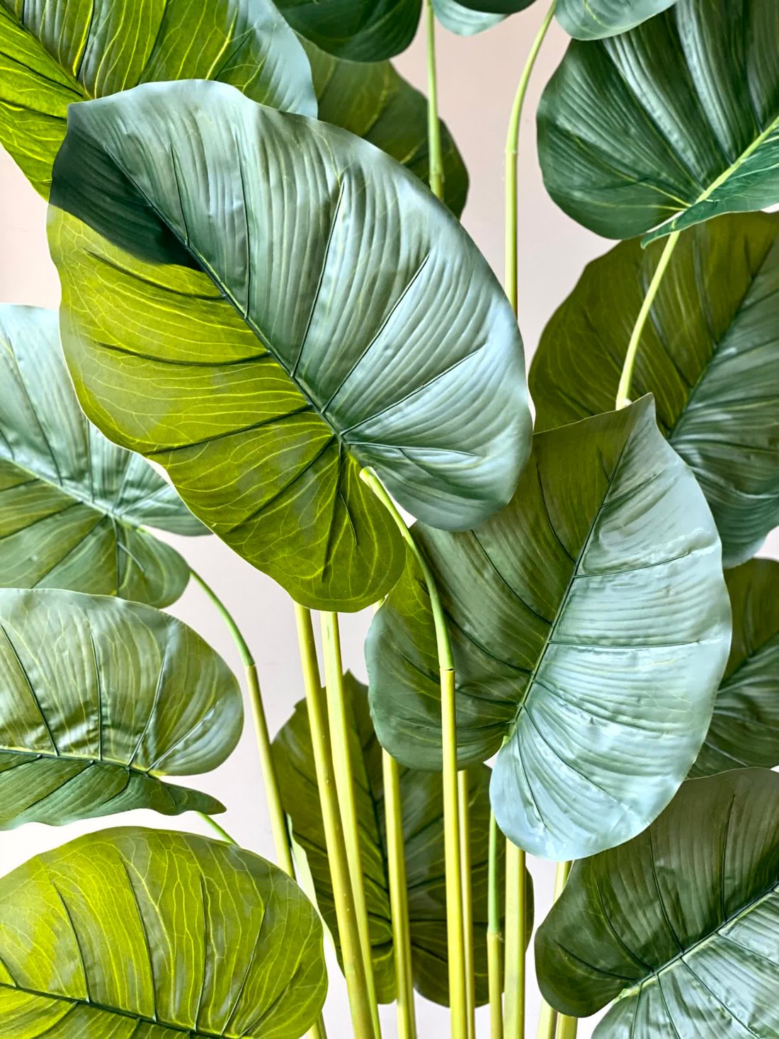 Artificial Evergreen Pothos Plant - 5.5 Feet