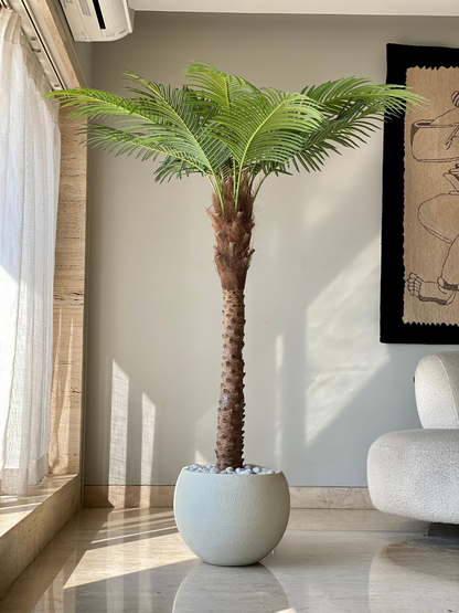 Artificial Phoenix Date Palm Tree - 6 Feet