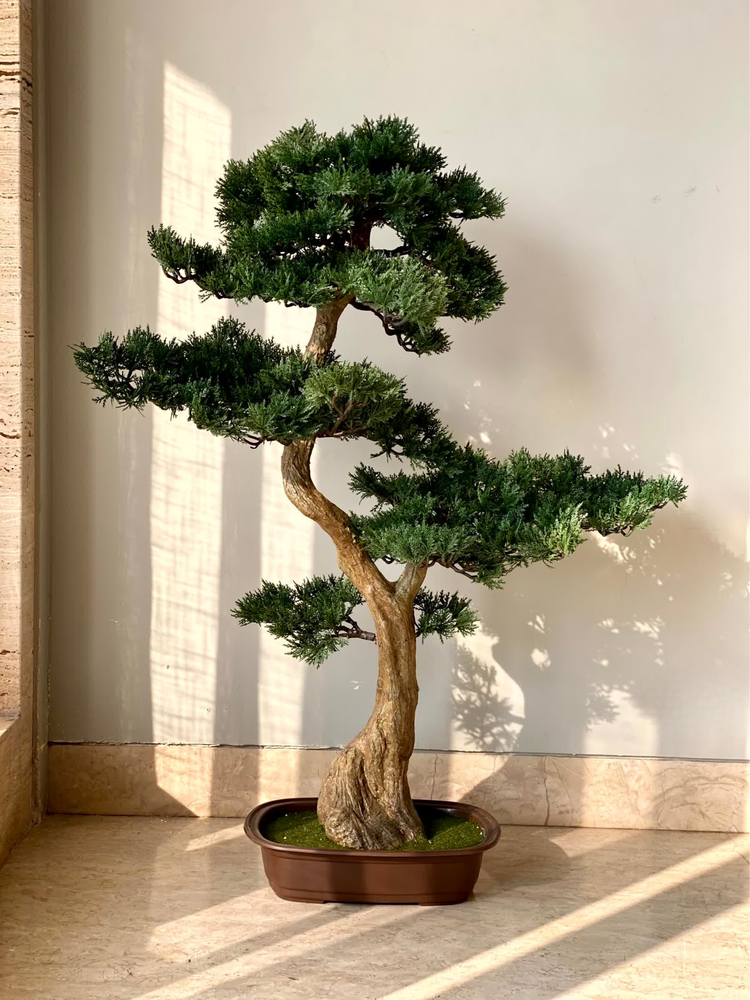 Artificial Cypress Bonsai Plant - 3 Feet