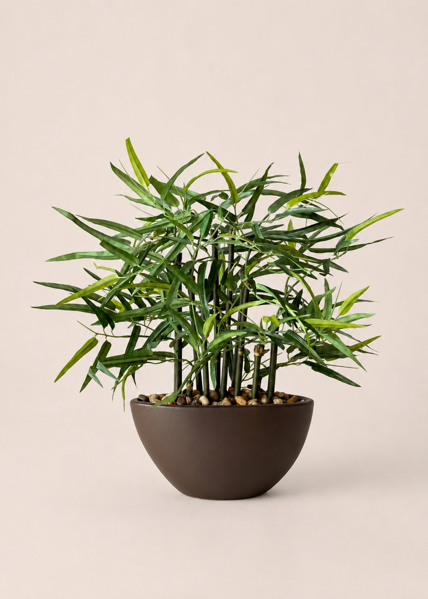 Artificial Rhipsalis Plant