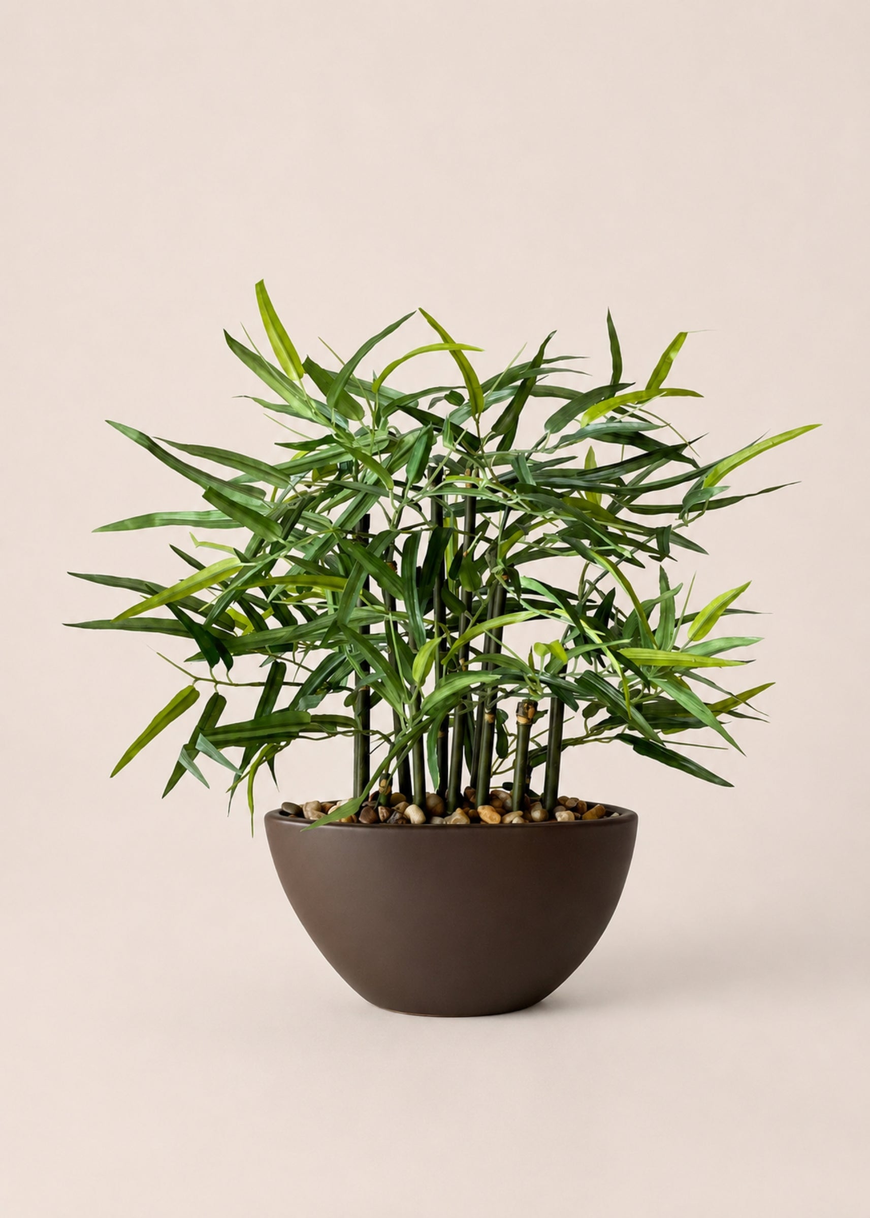 Artificial Rhipsalis Plant