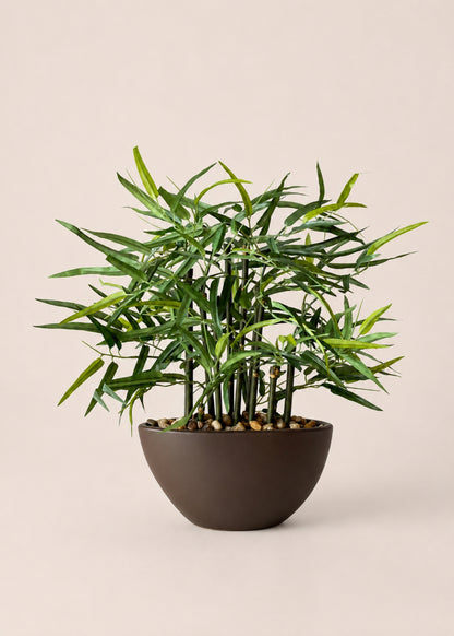 Artificial Rhipsalis Plant