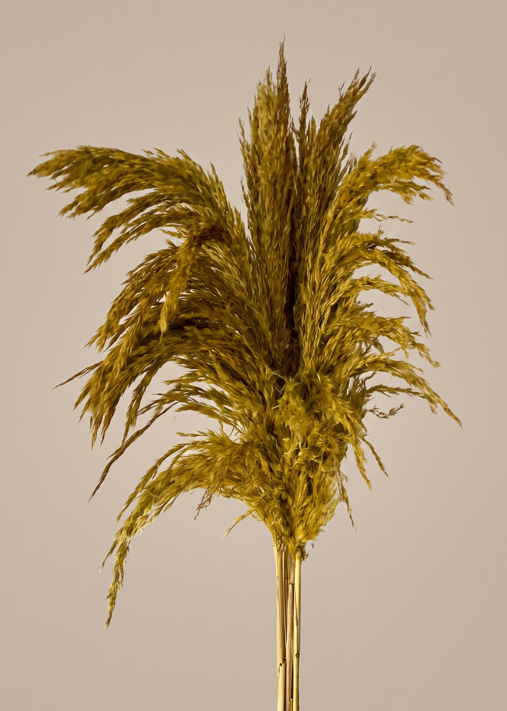 Artificial Feather Pampas Bunch - Yellow