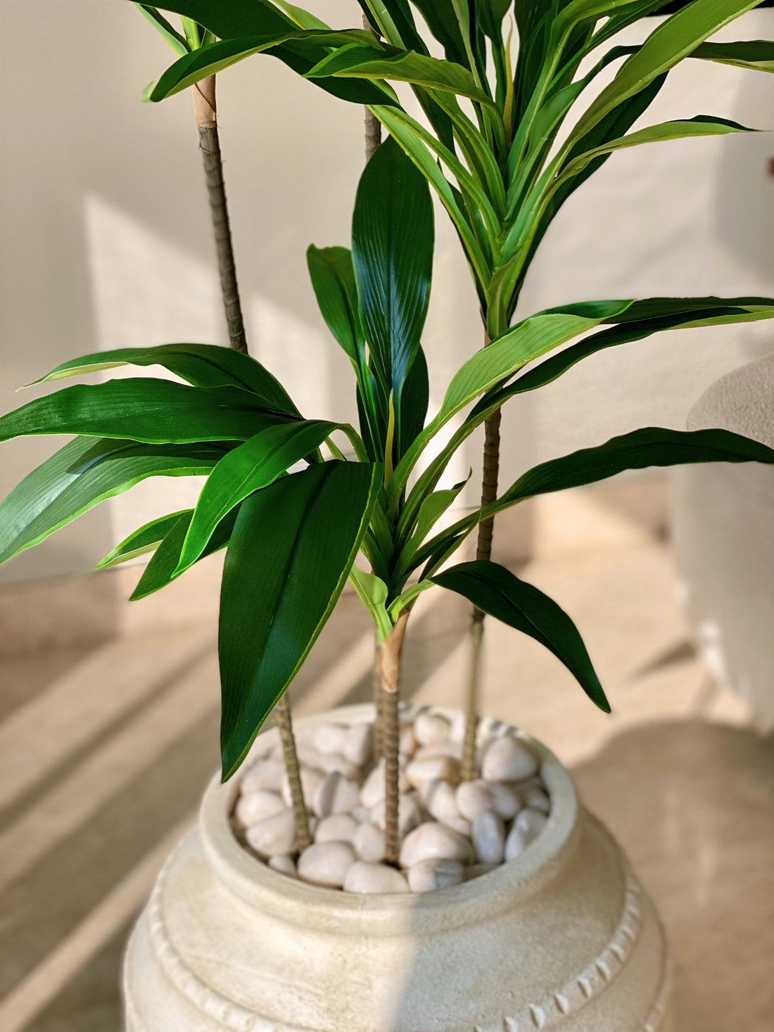 Artificial Dracaena Plant - 4 Feet