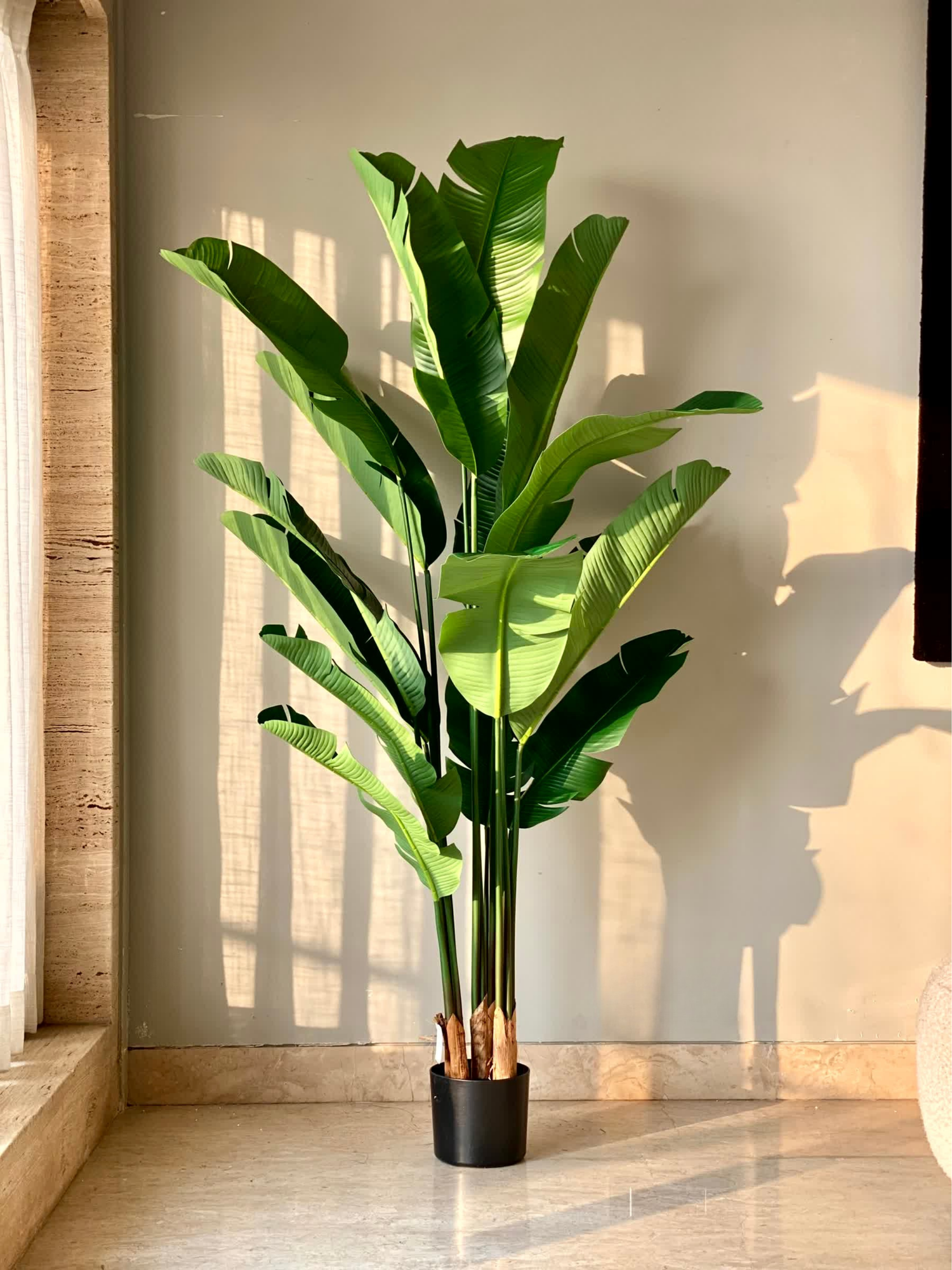 Artificial Coastal Palm Plant - 6 Feet