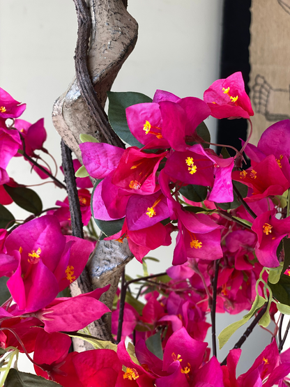 Artificial Fuschia Pink Bougainvillea Plant - 6 Feet