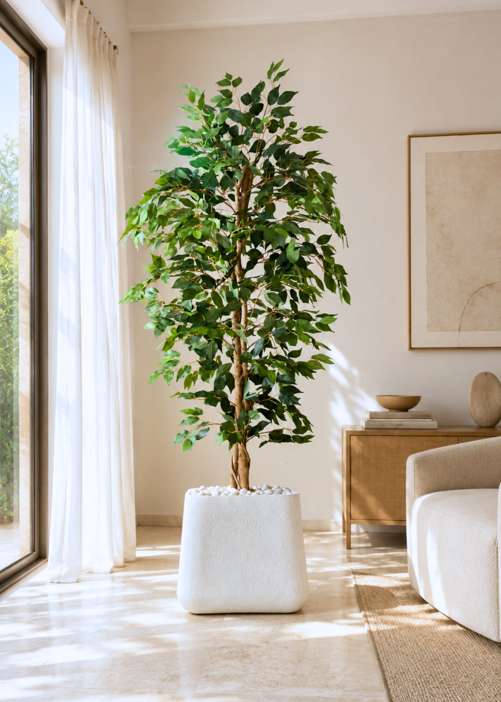 Artificial Weeping Ficus Plant - 6 Feet