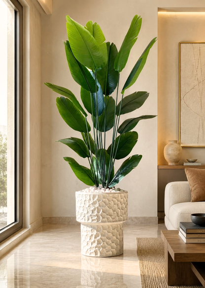 Monet Planters - Ivory