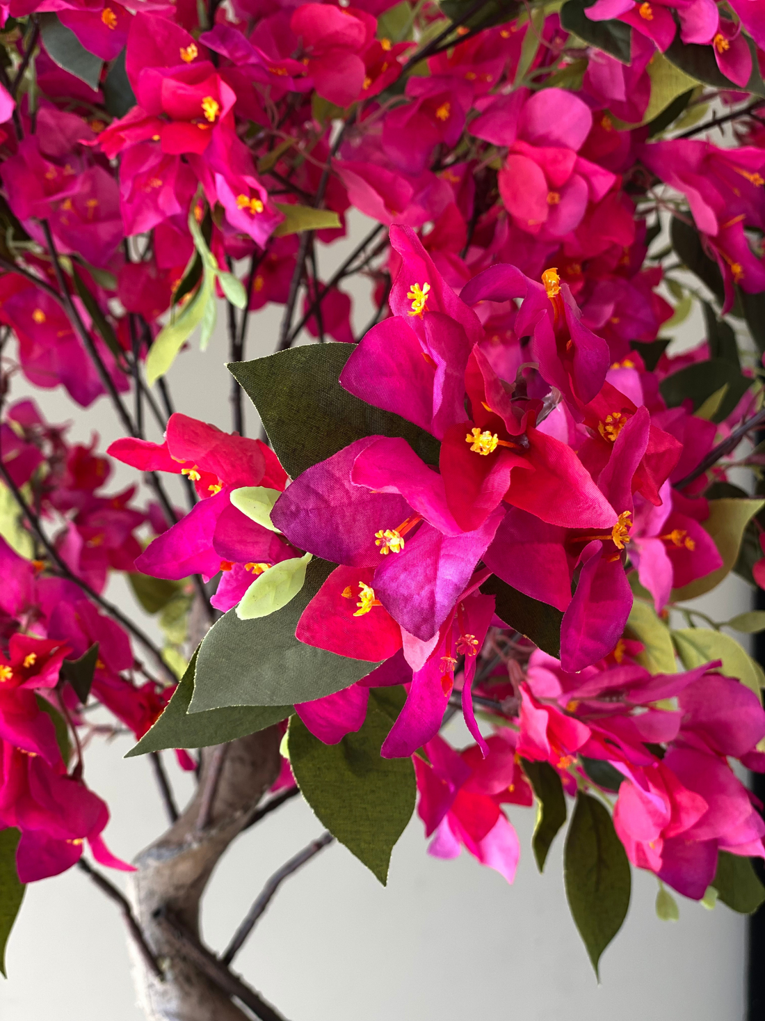 Artificial Fuschia Pink Bougainvillea Plant - 6 Feet
