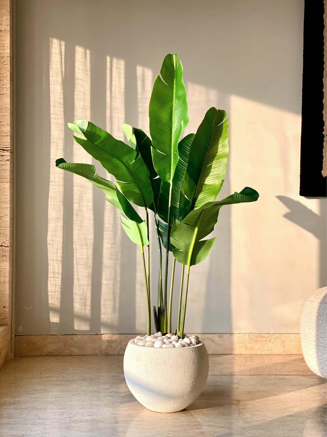 Artificial Coastal Palm Plant - 4 Feet