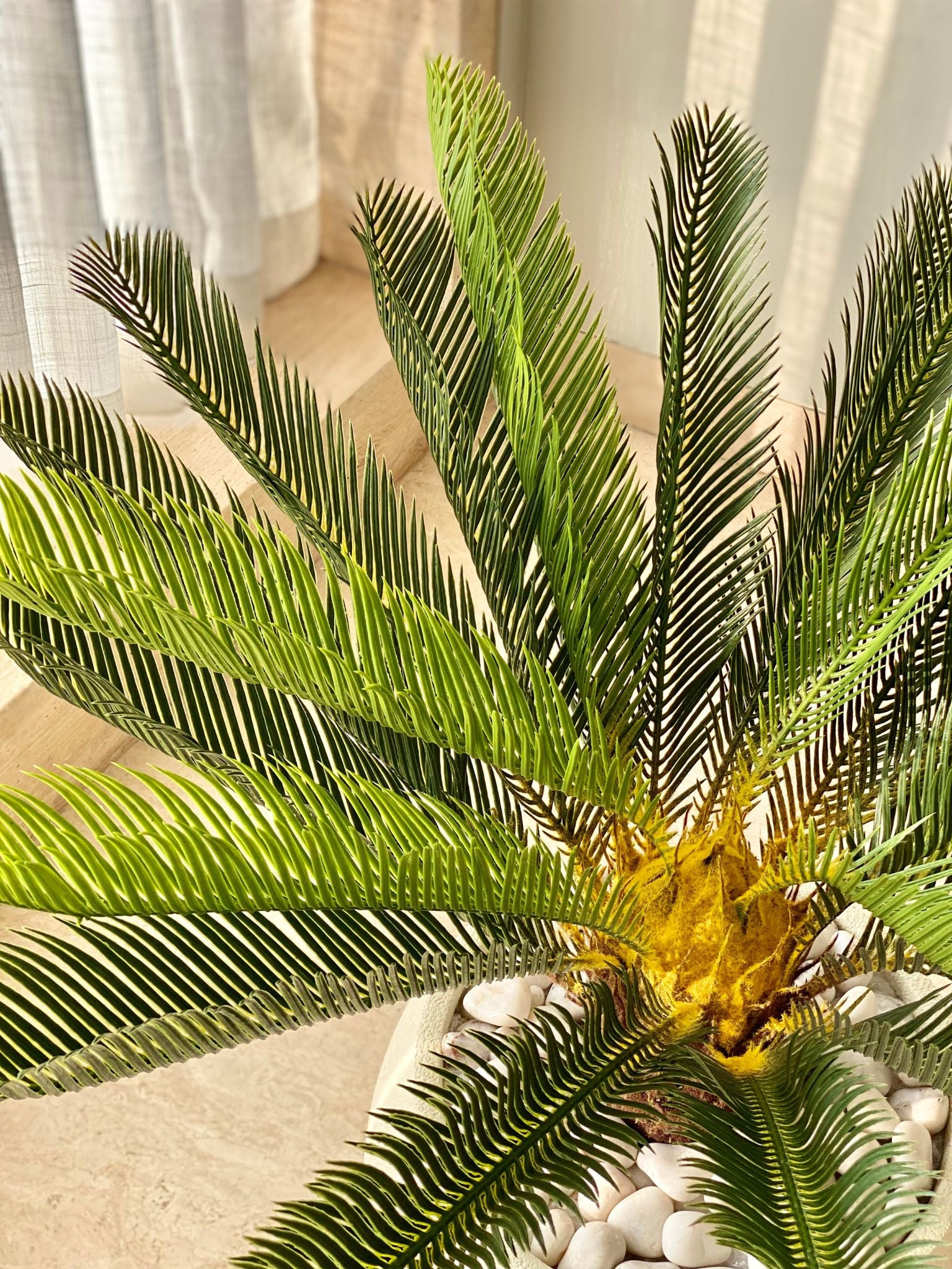 Artificial Cycas Plant - 2.5 Feet