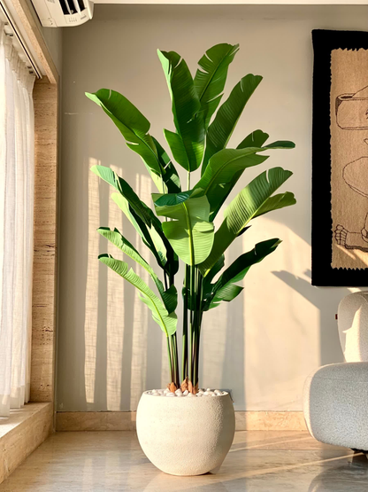 Artificial Coastal Palm Plant - 6 Feet