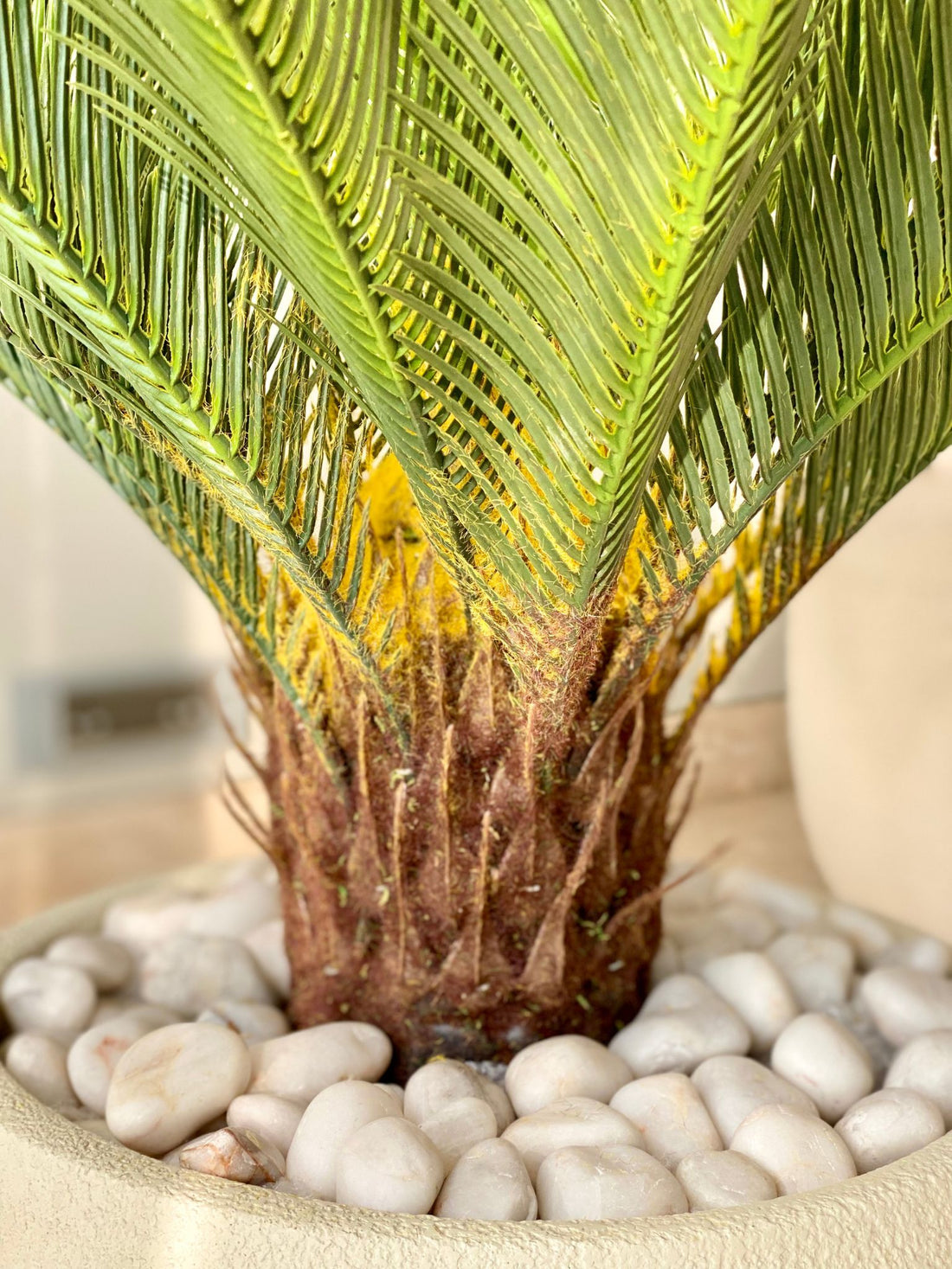 Artificial Cycas Plant - 2.5 Feet