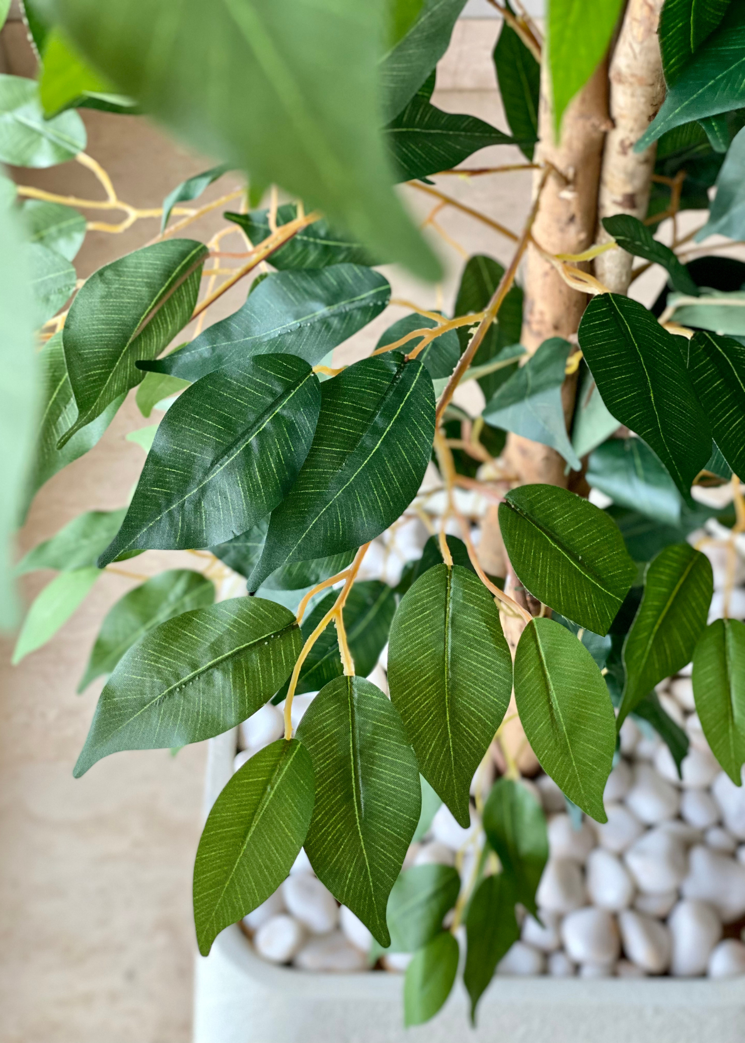 Artificial Weeping Ficus Plant - 6 Feet