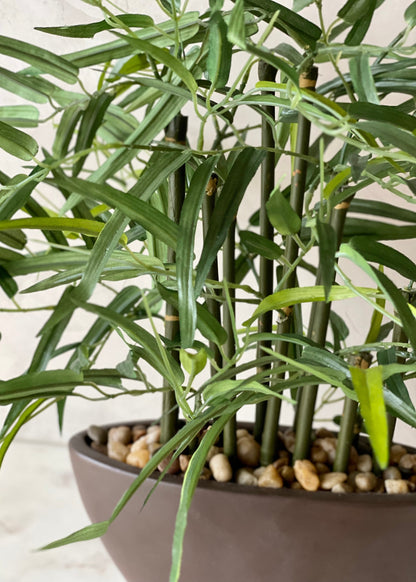 Artificial Rhipsalis Plant
