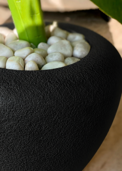 Duch Black Planter