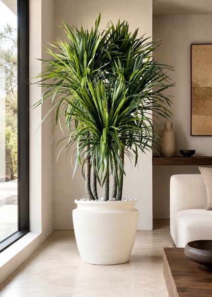 Artificial Dragon Quintara Plant - 7 Feet