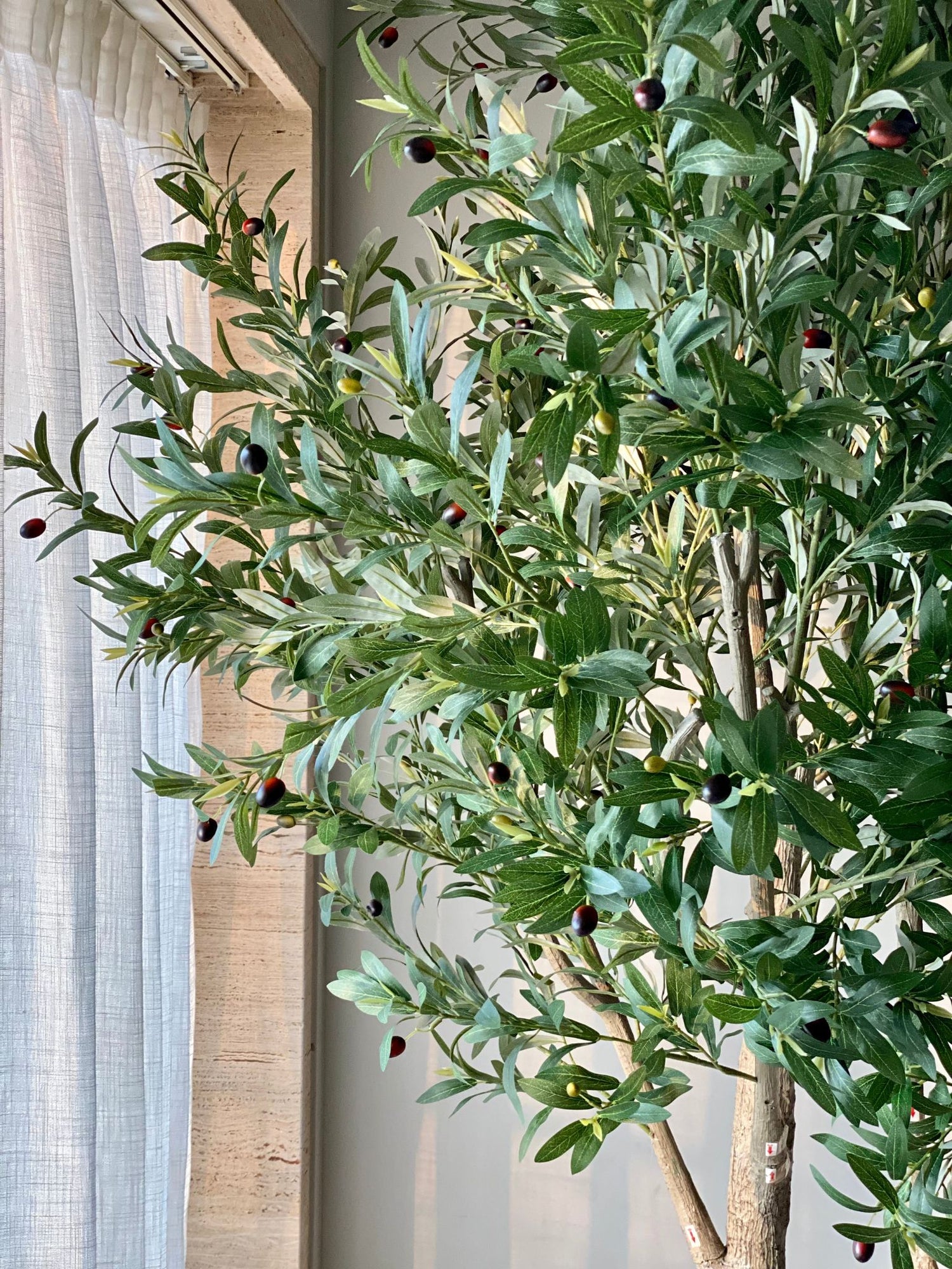 Artificial Olive Allure Plant -  8 Feet
