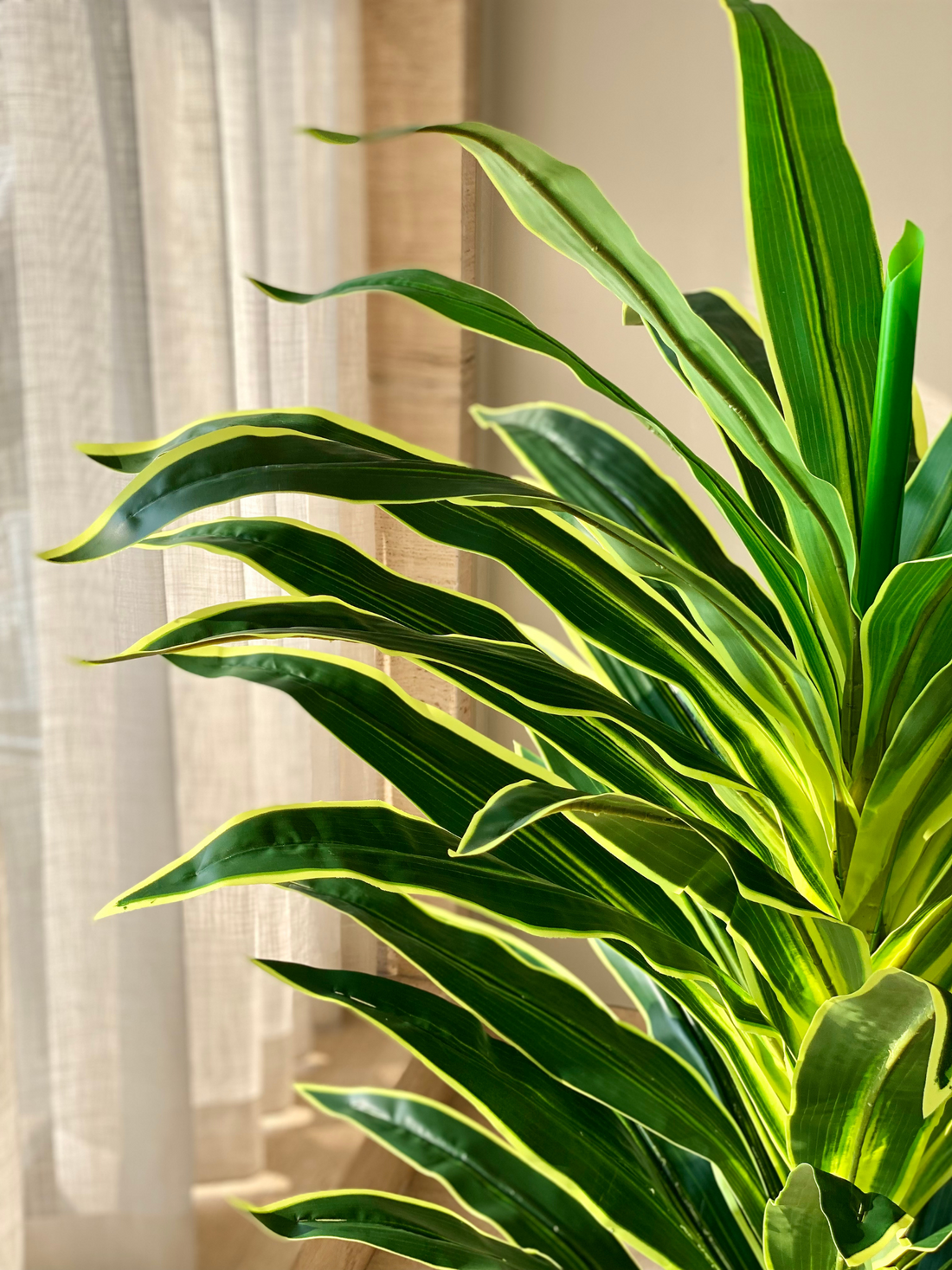 Artificial Variegated Dracaena Plant - 5 Feet