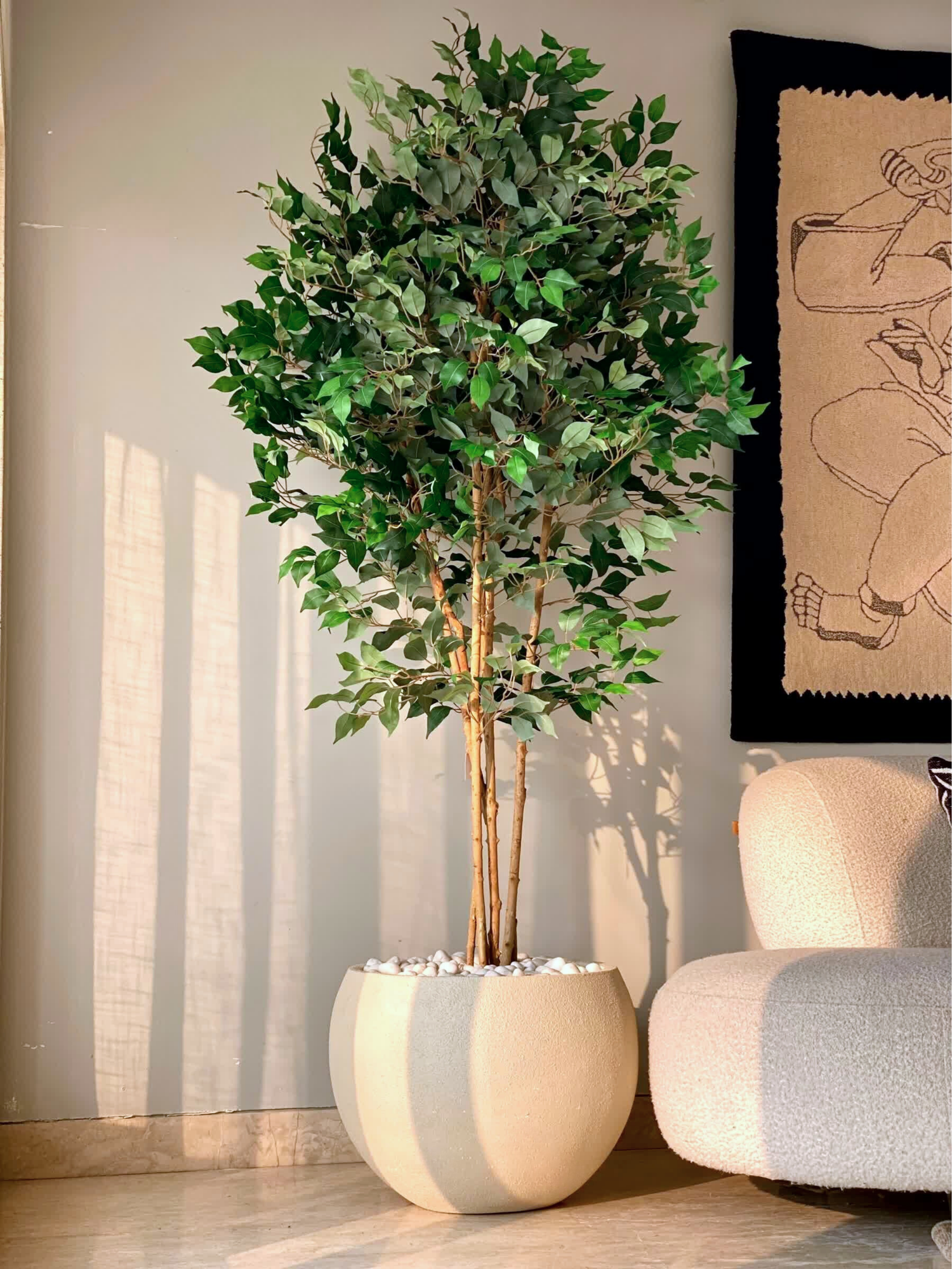 Artificial Aurora Ficus Plant - 6.5 Feet