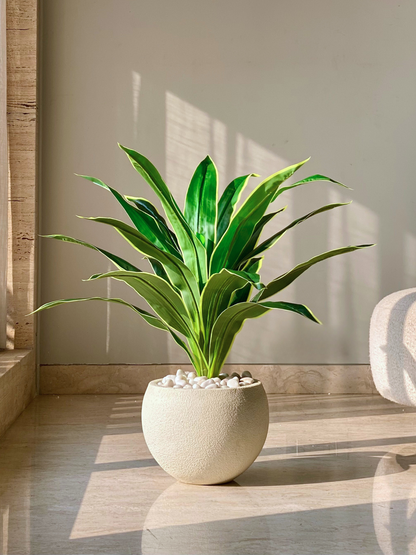 Artificial Variegated Dracaena Plant - 3 Feet