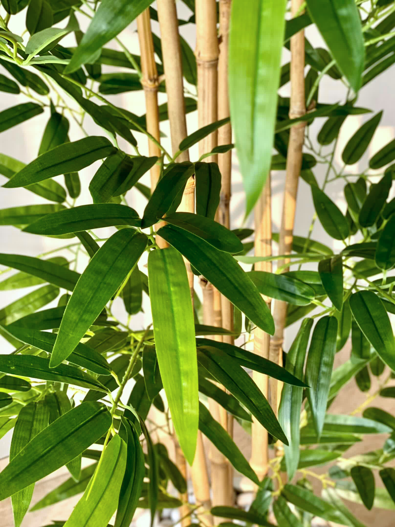 Artificial Bamboo Bliss Plant - 8 Feet