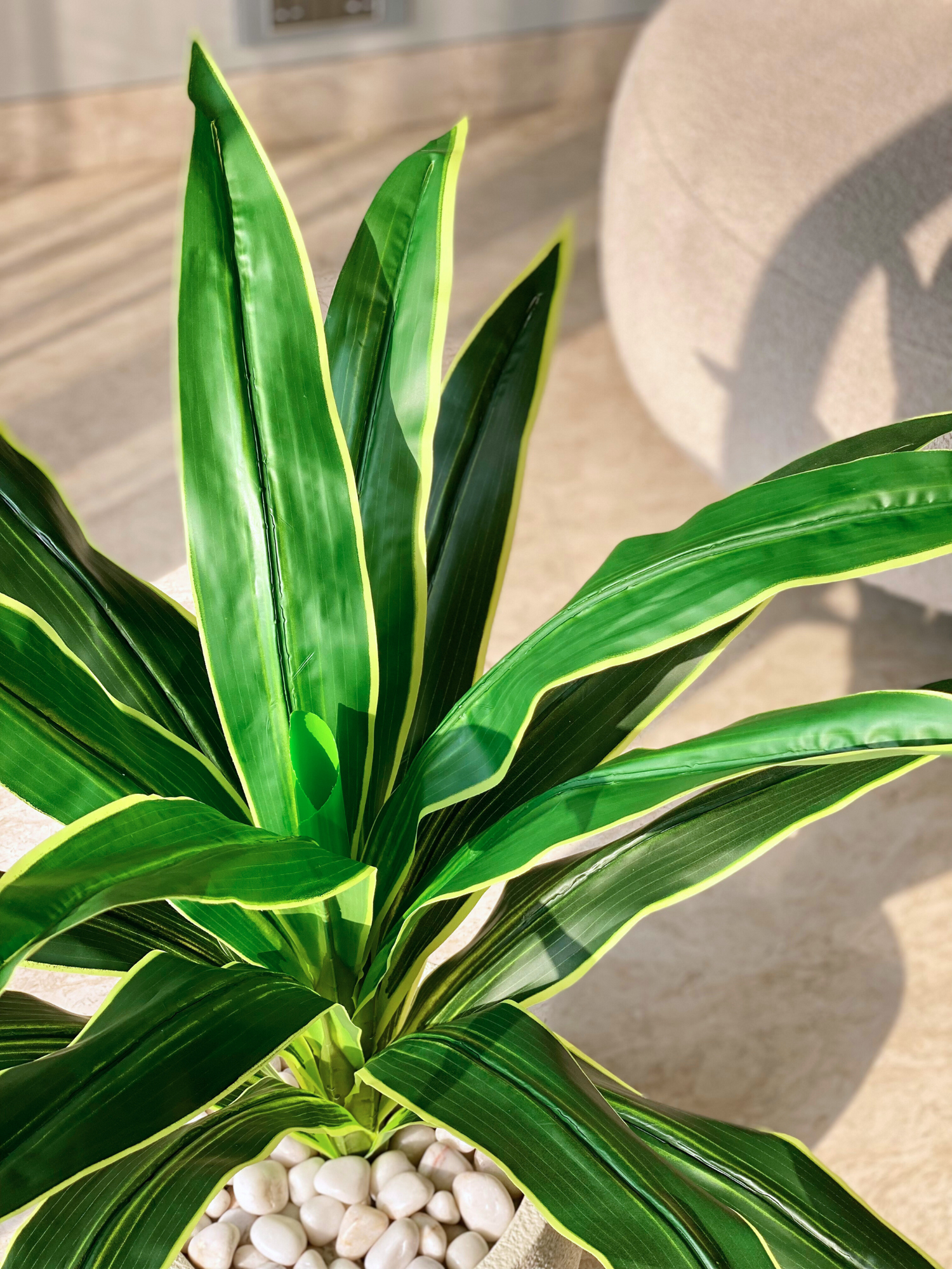 Artificial Variegated Dracaena Plant - 3 Feet