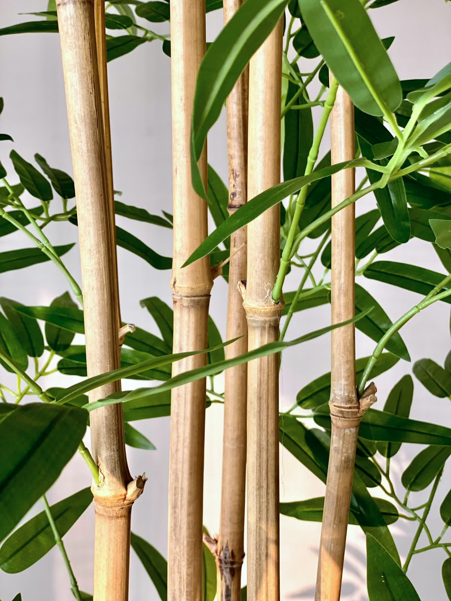 Artificial Bamboo Bliss Plant - 8 Feet