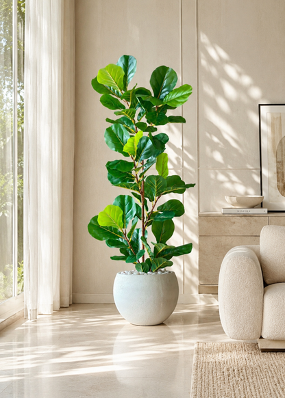 Artificial Fiddle Lyrate Plant - 5.5 Feet