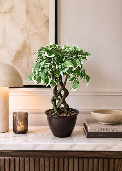 Artificial Variegated Ficus Plant – 1.3 Feet