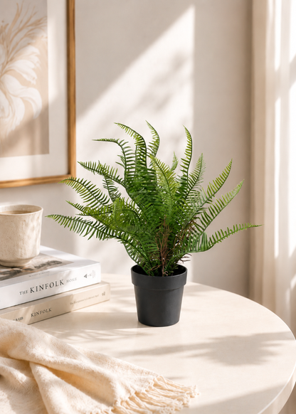 Artificial Sword Fern Plant - Feet