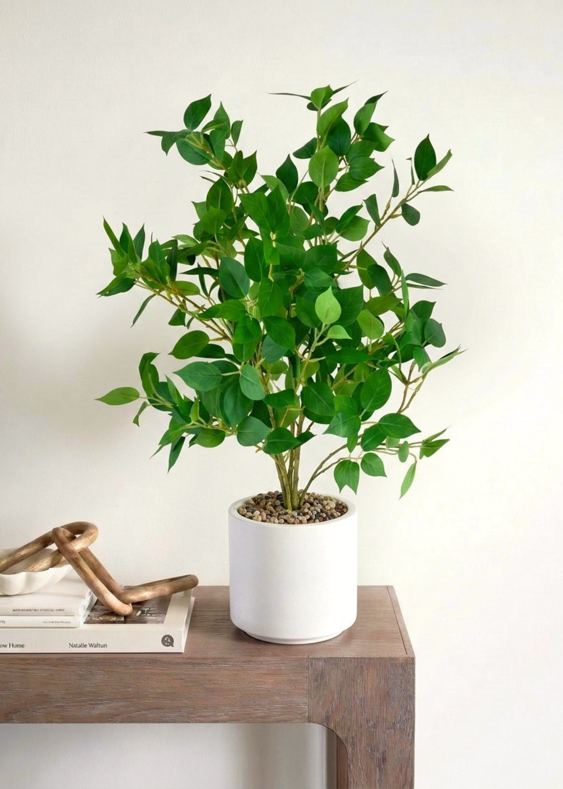Artificial Ficus Plant- 2 Feet