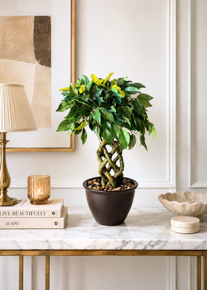 Artificial Ficus Bonsai Plant - 1.3 Feet