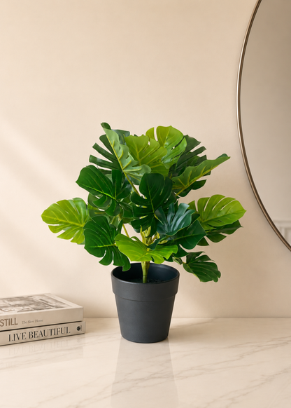 Artificial Bachia Monstera Plant - 1 Feet