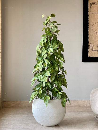 Artificial Money Plant - 4 Feet