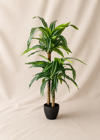 Artificial Layered Dracaena Plant - 3.3 Feet