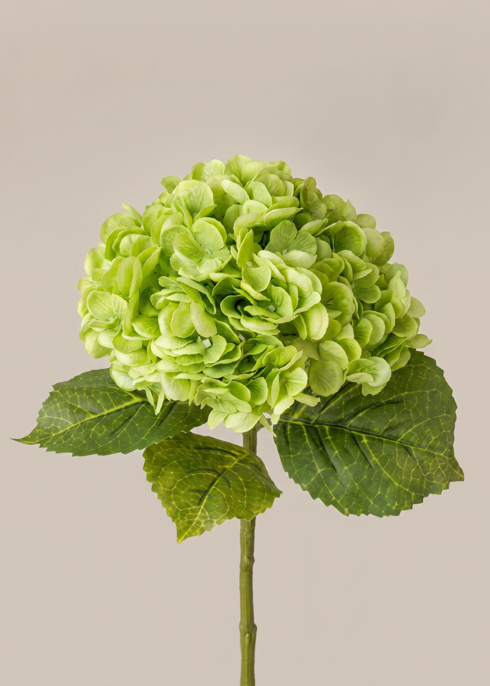 Artificial Hydrangea Flower Bunch – Fresh Green
