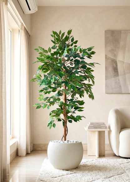 Artificial Weeping Ficus Plant - 5 Feet
