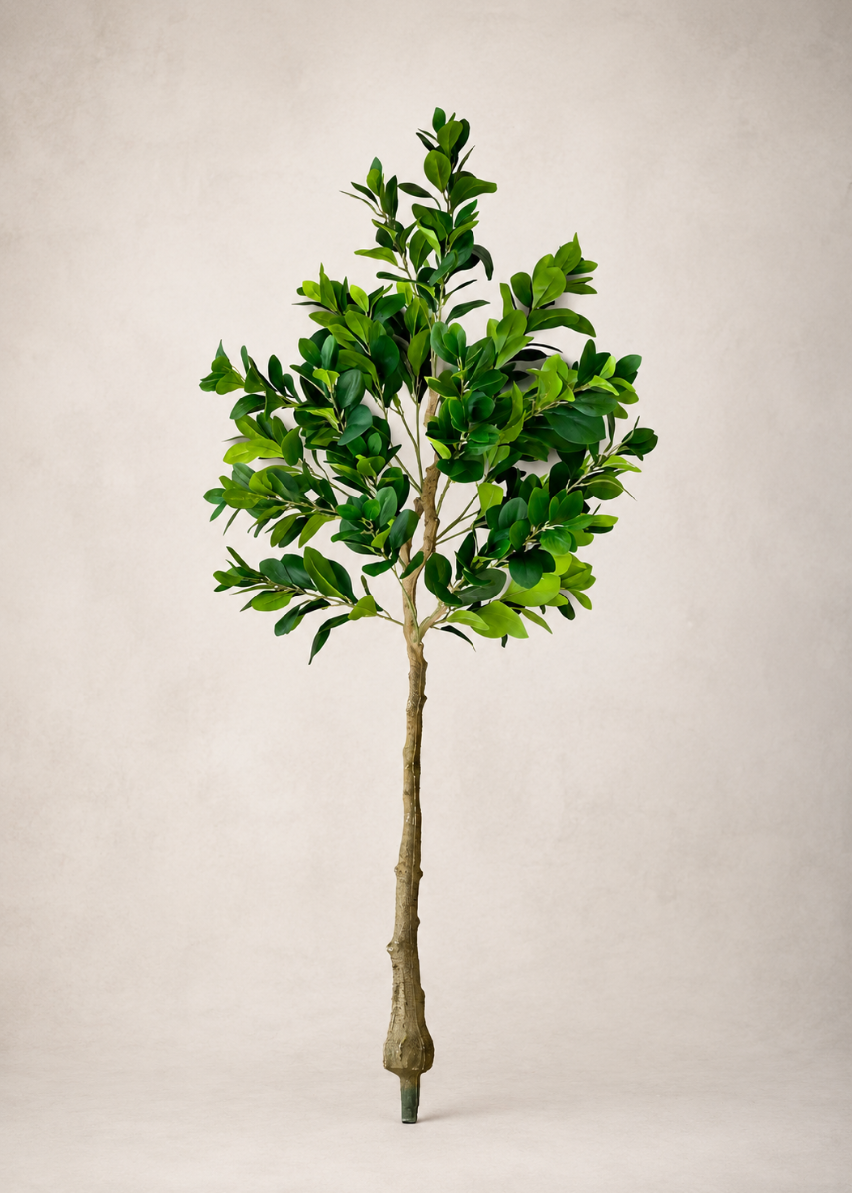 Artificial Serene Peperomia Plant  - 5 Feet