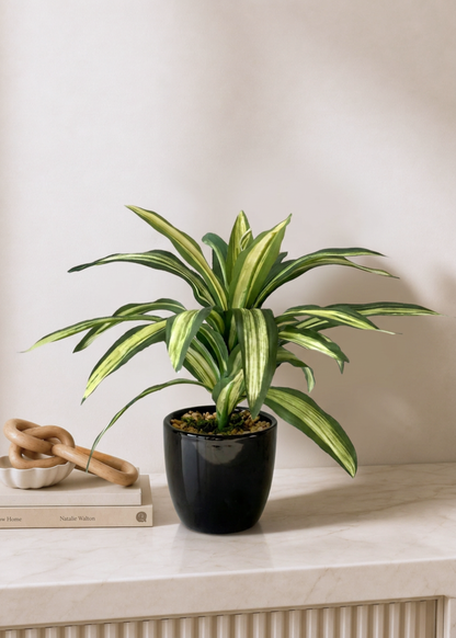 Artificial Variegated Dracaena Plant