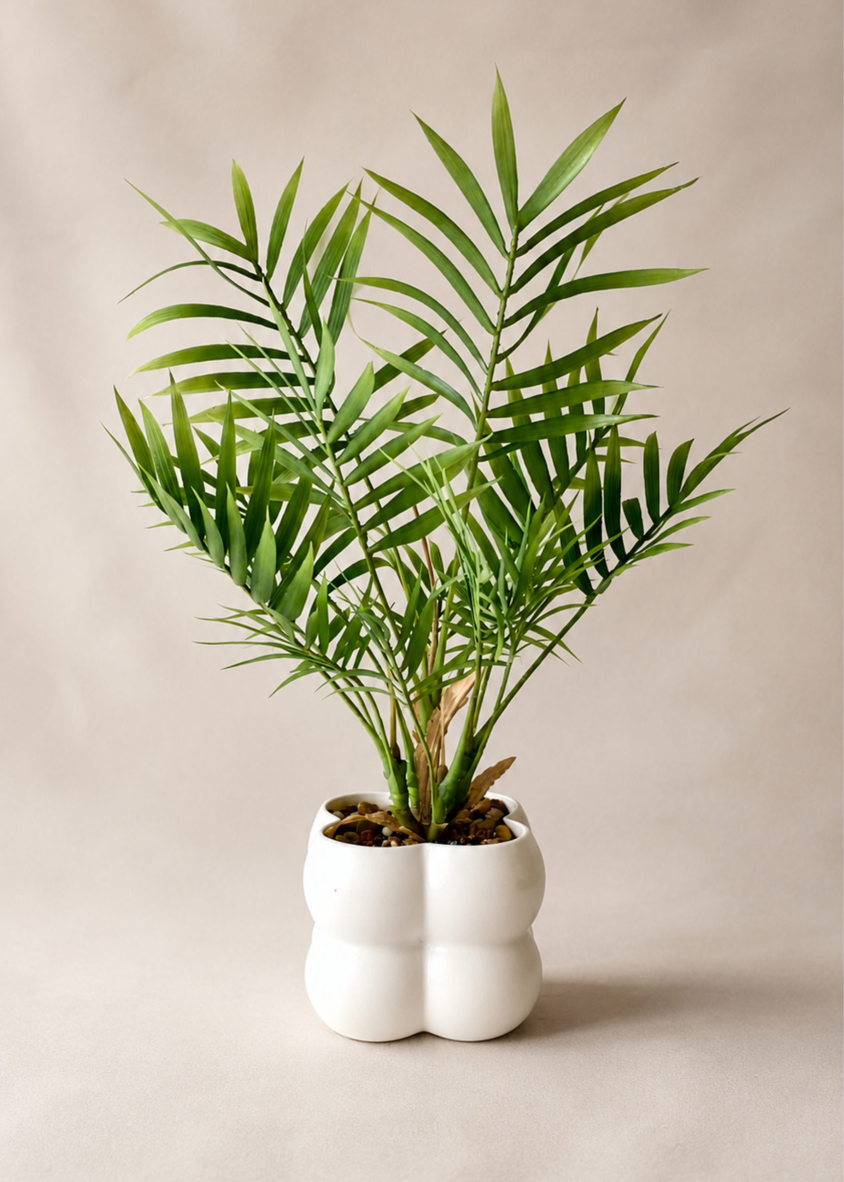 Nova Palm Planter