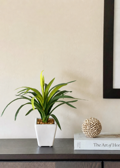 Artificial Tabletop Dracaena Plant
