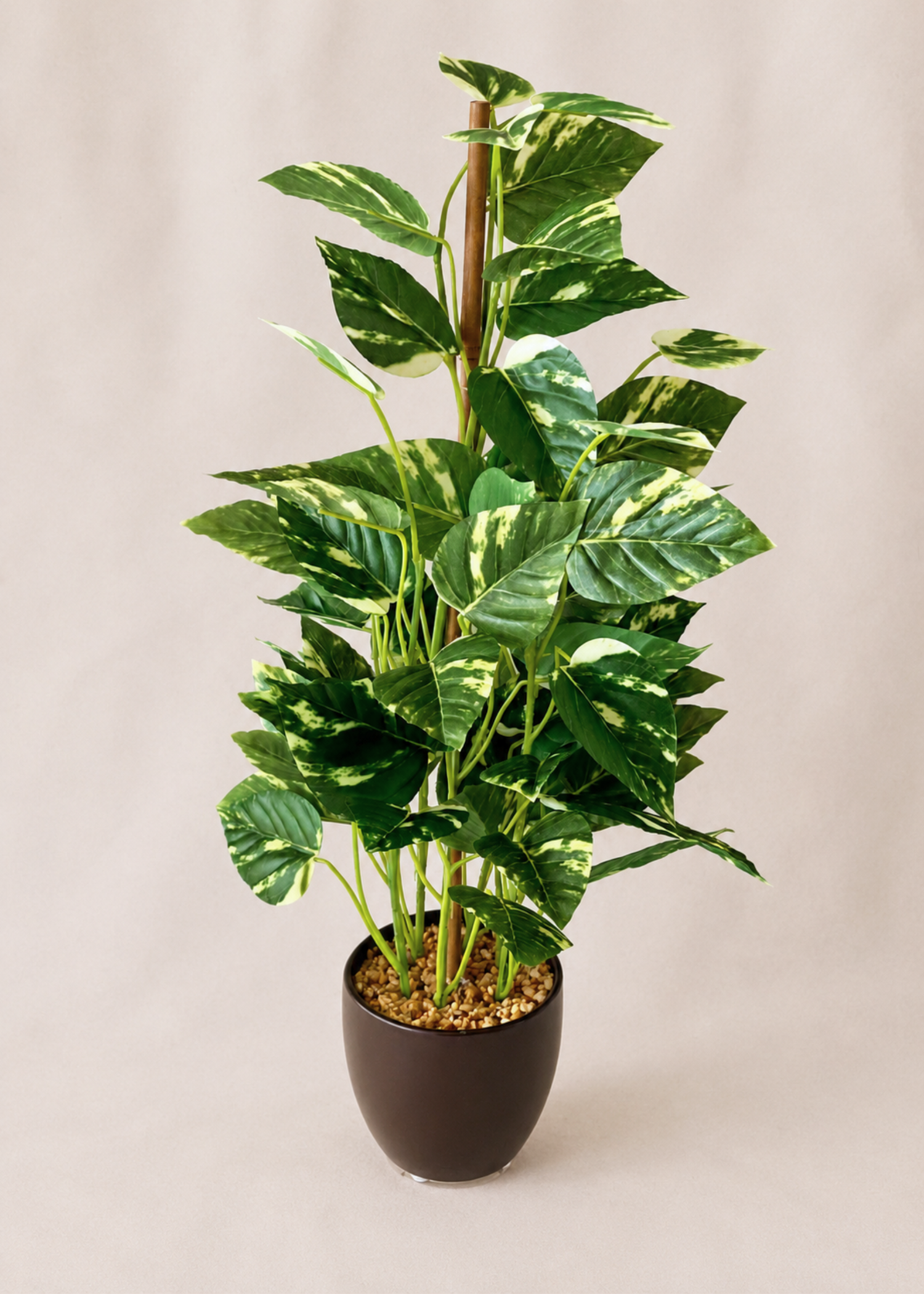 Artificial Bonsai Money Plant  – 1.6 Feet