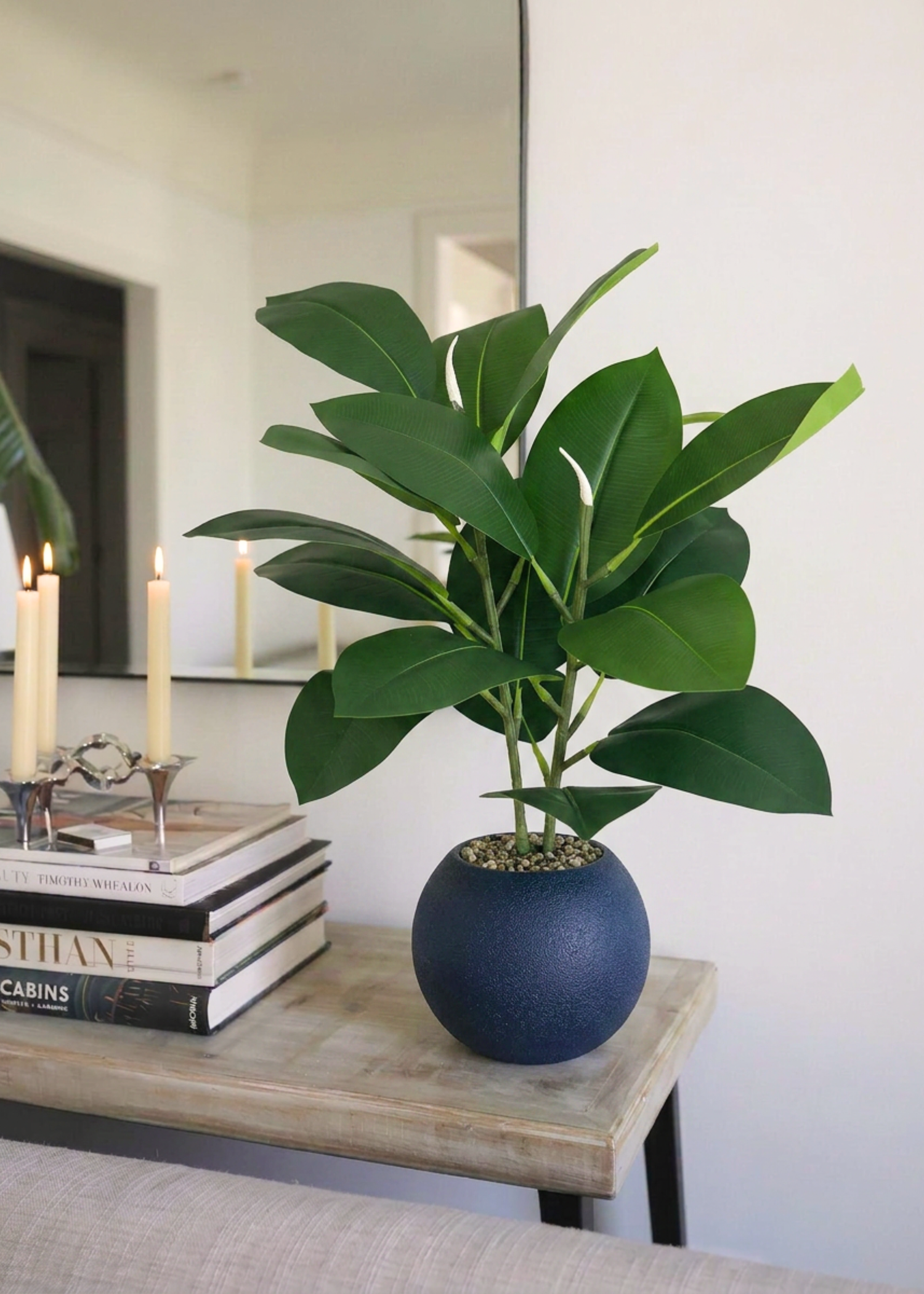 Artificial Rubber Leaf Plant (Black Pot) -  2 Feet