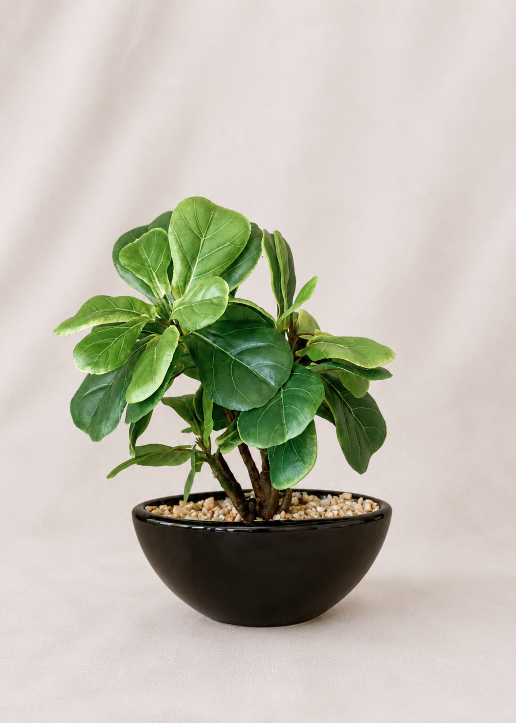 Artificial Fiddle Fig Bonsai Plant -1 Feet