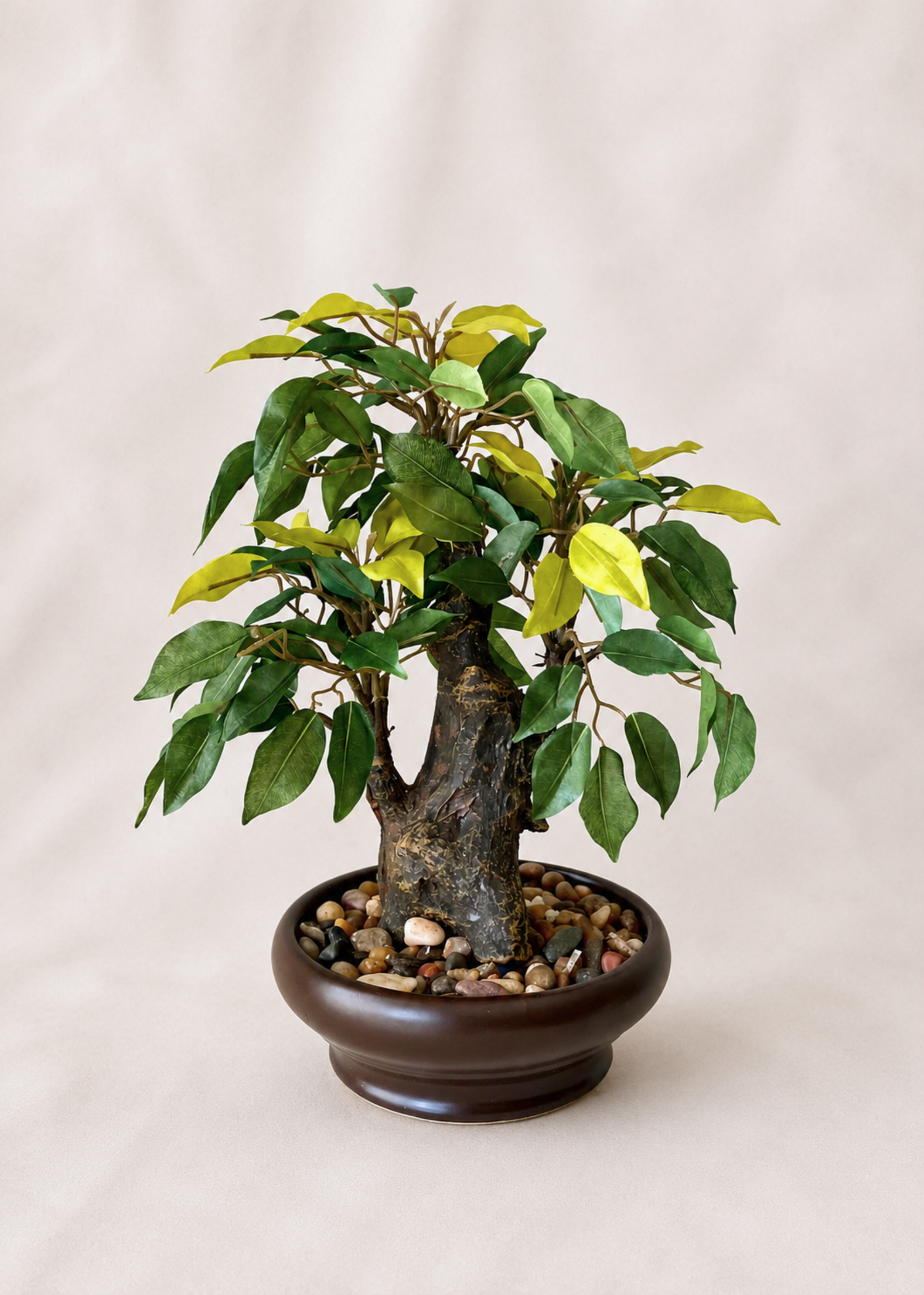 Artificial Ficus Bonsai Plant - 1 Feet