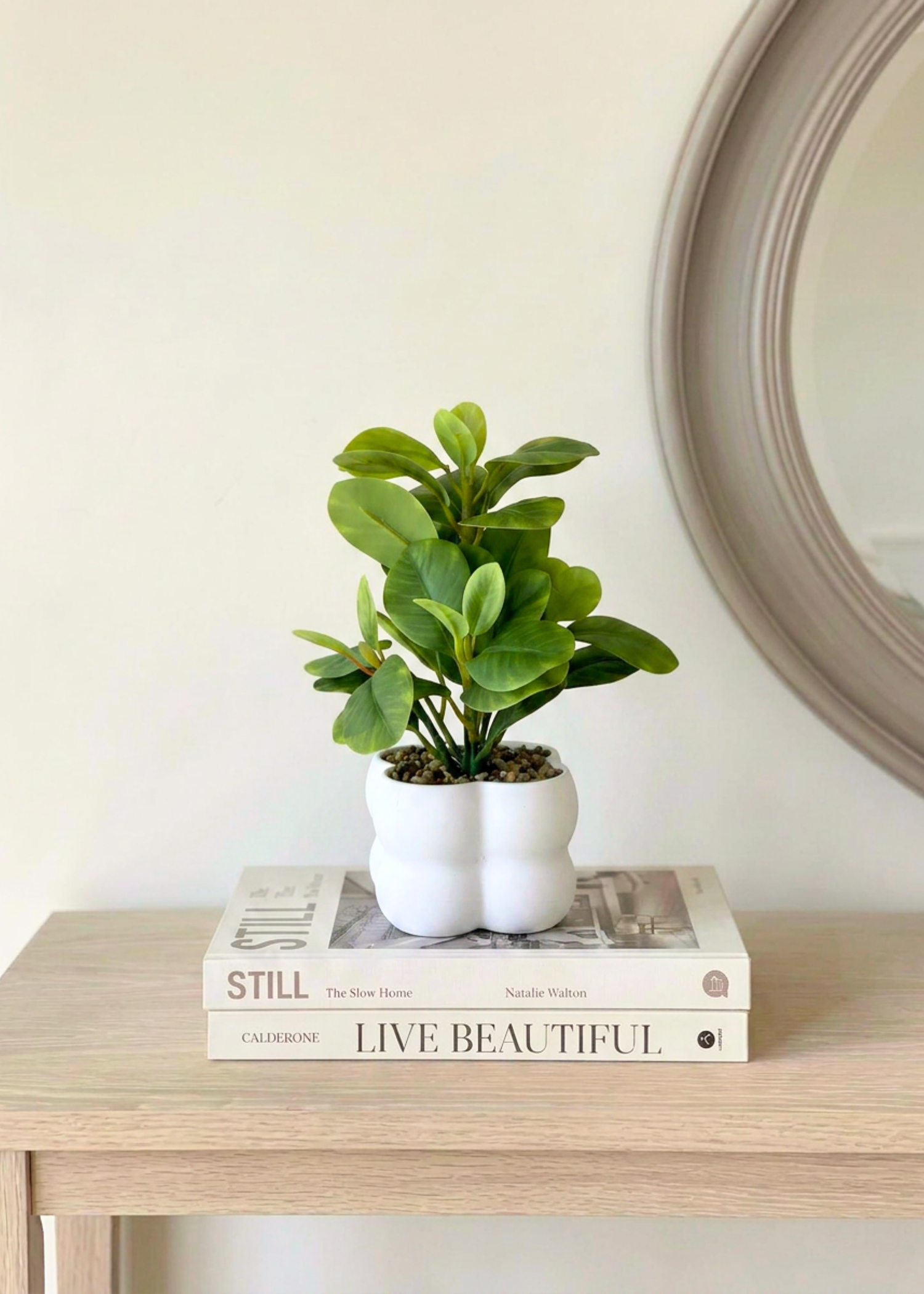 Artificial Peperomia Plant