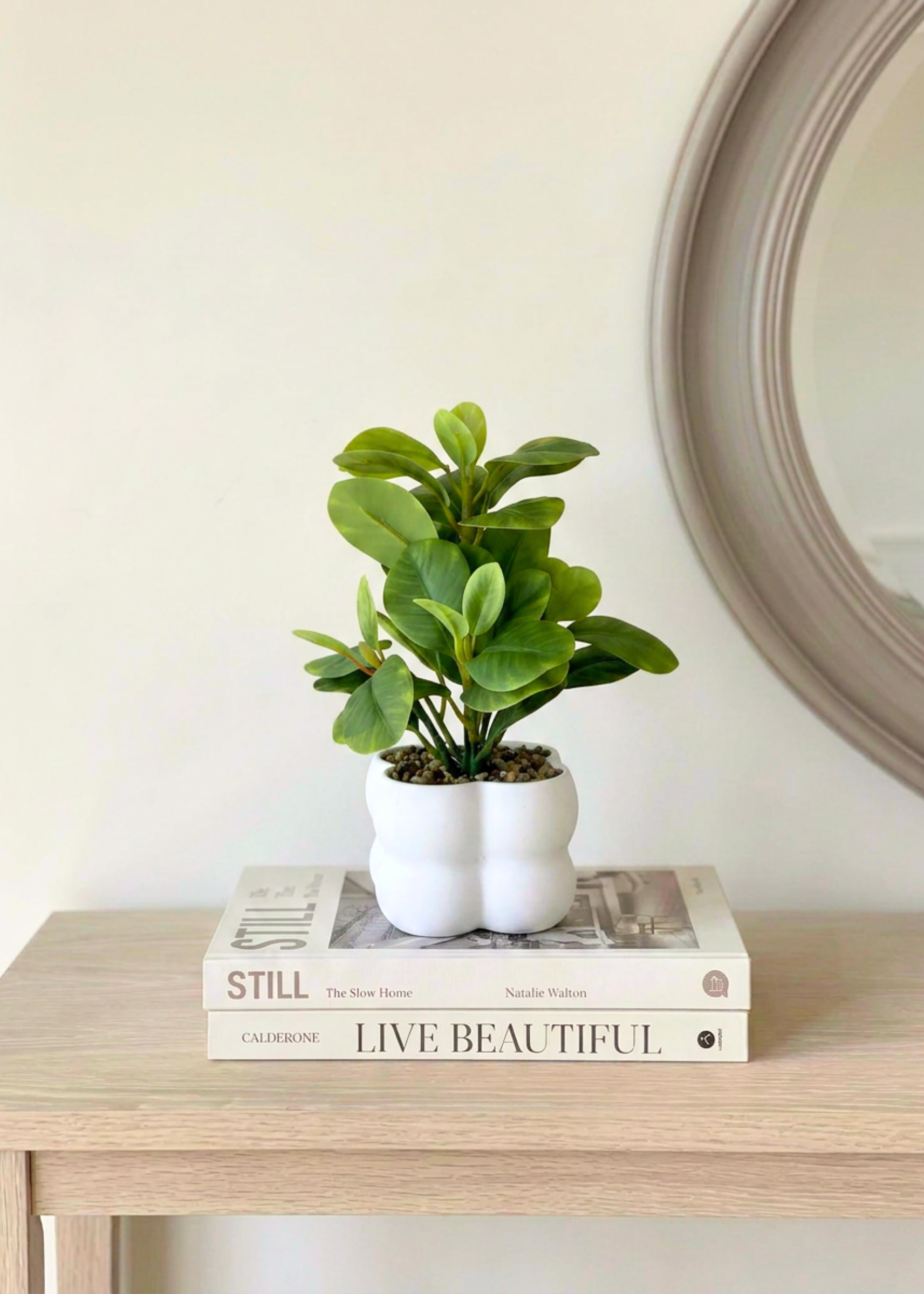 Artificial Peperomia Plant