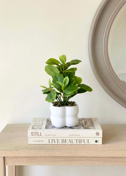 Artificial Peperomia Plant
