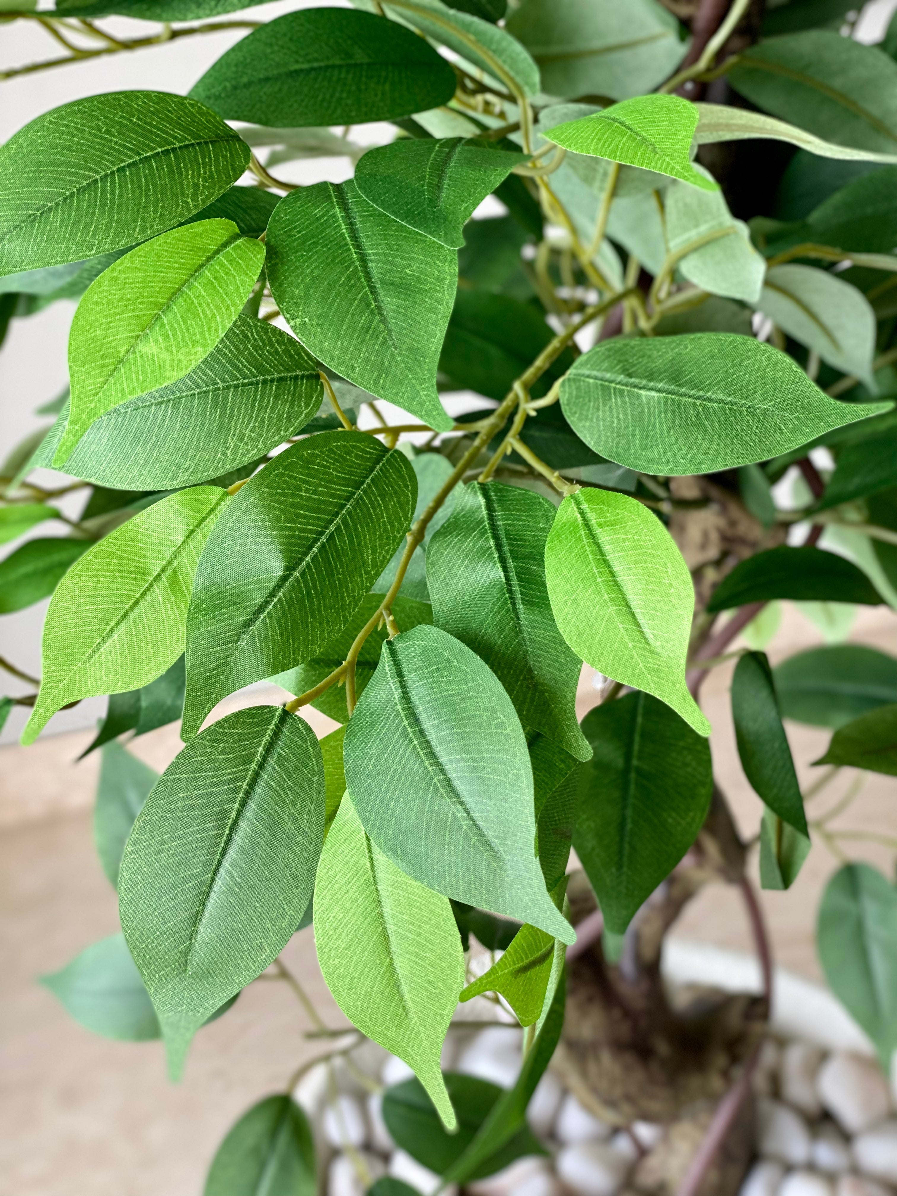 Artificial Banyan Plant - 5 Feet